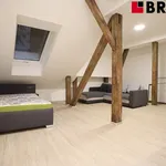 Rent 1 bedroom apartment of 50 m² in Brno