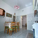 Rent 4 bedroom apartment of 85 m² in Mattinata