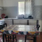 Rent 1 bedroom apartment of 25 m² in Arles