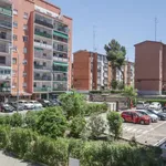 Rent a room in madrid