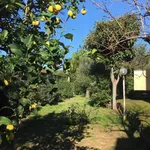 Rent 3 bedroom apartment of 50 m² in San Felice Circeo