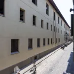 Rent 1 bedroom apartment of 50 m² in Florence