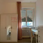 Rent 3 bedroom apartment of 90 m² in Milano