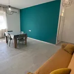 Rent 4 bedroom apartment of 120 m² in Pescara