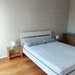 Rent 2 bedroom apartment of 60 m² in Turin