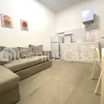 Rent 2 bedroom apartment of 40 m² in San Donato Milanese