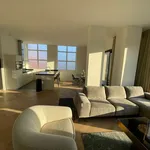 Rent 2 bedroom apartment of 94 m² in Zandvoort