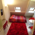  appartement avec 1 chambre(s) en location à Paris