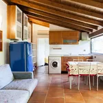 Rent 1 bedroom apartment in Florence