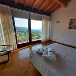 Rent 1 bedroom house of 50 m² in Ponte de Lima