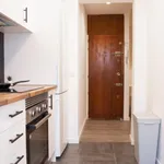 Rent 4 bedroom apartment in Madrid