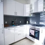 Rent 1 bedroom apartment of 35 m² in Brno