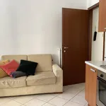 Rent 1 bedroom apartment of 35 m² in Torino