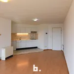 Huur 1 slaapkamer appartement van 780 m² in Ostend