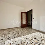 Rent 3 bedroom apartment of 113 m² in Ciampino