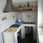 Rent 2 bedroom apartment of 55 m² in Nichelino