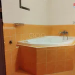 Rent 1 bedroom apartment in Praha 10