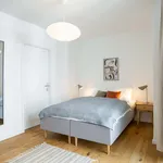 Miete 4 Schlafzimmer wohnung von 56 m² in Berlin