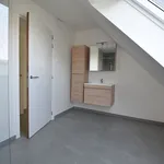 Huur 1 slaapkamer appartement in Zottegem