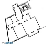 Rent 5 bedroom apartment of 130 m² in Bologna