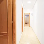 Rent 3 bedroom apartment of 100 m² in Elx