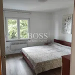 Rent 2 bedroom apartment of 53 m² in Grad Rijeka