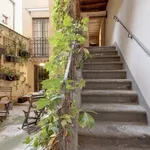 Rent 1 bedroom apartment in Florence