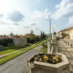 Rent 1 bedroom apartment of 45 m² in Pécs