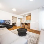 Rent 2 bedroom apartment of 81 m² in Zagreb