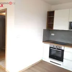 Rent 2 bedroom apartment in Vizovice