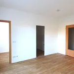 Rent 1 bedroom apartment of 32 m² in Großschirma