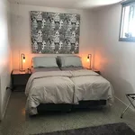 Rent 1 bedroom apartment in Albert-Eden