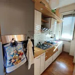 Rent 2 bedroom apartment of 65 m² in Monza