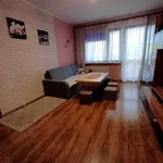 Rent 2 bedroom apartment of 50 m² in Bytom