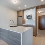  appartement avec 1 chambre(s) en location à Montreal