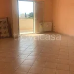 Rent 1 bedroom house of 55 m² in Marsala