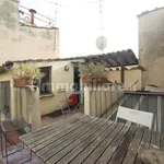 Rent 1 bedroom house of 30 m² in Florence