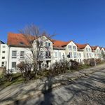 Rent 2 bedroom apartment of 50 m² in Magdeburg