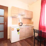 Pronajměte si 1 ložnic/e byt o rozloze 25 m² v Prague