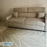 Appartamento arredato con terrazzo Centro