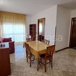 Rent 2 bedroom apartment of 48 m² in Pomezia