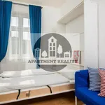 Rent 1 bedroom apartment of 24 m² in Praha