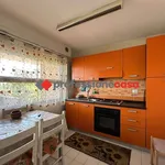 Rent 2 bedroom apartment of 50 m² in Campobasso