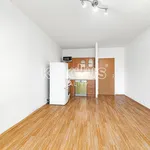 Rent 1 bedroom apartment in Ostrava