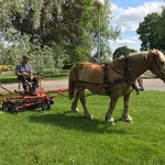 Hyr ett 1-rums lägenhet på 47 m² i Falköping