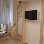 Pronajměte si 2 ložnic/e byt o rozloze 46 m² v Prague