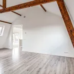 Rent 1 bedroom apartment of 60 m² in Leiden