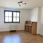 Rent 4 bedroom apartment of 100 m² in Mügeln