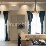 Rent 1 bedroom apartment of 55 m² in Pisa