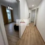 Rent 2 bedroom apartment of 65 m² in Lublin